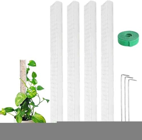 Filing Aid Moss Plant Support - Robust Plant Support Sticks Moss Gross 24 inch, Climbing Aid for Monstera Philodendron Pothos | Supports Vertical Growth of Potted Plants,