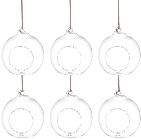 GALPADA 6 Stück Hängevase aus Glas mit 10cm Durchmesser und Hanfseil Pflanzentopf für Sukkulenten und Teelichter Geeignet für Wohnraum und Hochzeitstischdekoration