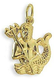 Sternzeichen Anhänger Wassermann 14 Karat Gold 585 (213105)