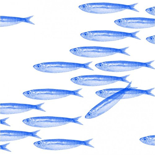 FRANCOISE PAVIOT - Lot de 20 Serviettes DE Table INTISSE 40 X 40 CM Banc DE Sardines