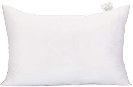 Acanva Fluffy Pillow Insert for Bed Sleeping, Decorative Stuffer Cushion Sham Filler, Queen 20x30 (Pack of 1), White