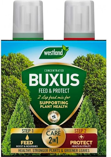 Westland Horticulture Buxus Feed & Protect Konzentrate 2 in 1 (2x500ml) 20100418