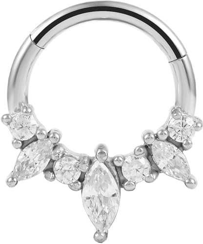 Vankula Septum Helix Daith Piercing Ringe Hinged Segmentring Clicker Chirurgenstahl CZ 16G 8mm Nasen Tragus Conch Piercing Schmuck für Frauen und Männer Silber