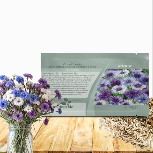 Outsidepride Fantastic Mix Cornflower Seeds for Planting - 500 Pcs. Annual Bachelor's Button Flower Seeds for Cut Flower Gardens, Drought-Tolerant, Attracts Pollinators, Ideal for Borders & Bouquets