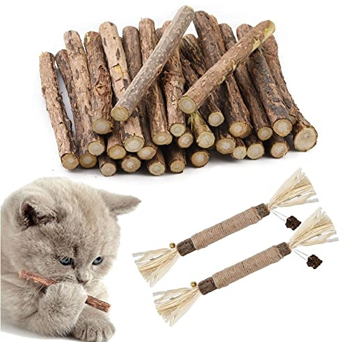 Bastoncini Erba Gatta in Legno, Bastoncini di Erba Gatta per Gatti, Bastoncini da Masticare per Gatti, 32 Bastoncini Matatabi per Giocattoli, Bastoncini Cura Denti Gatti, Bastone Molare di Gatto