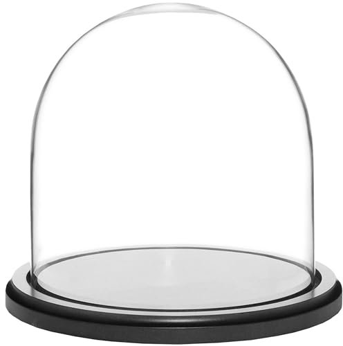 Plymor 8 x 8 Glass Display Dome Cloche (Black MDF Wood Base)