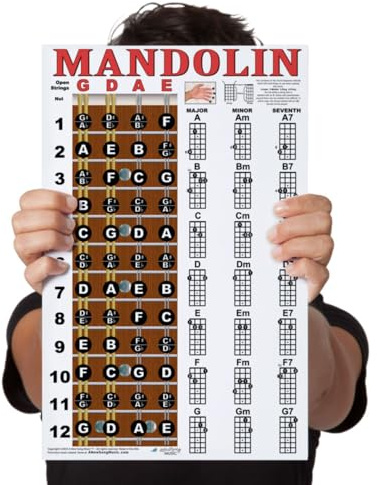 A New Song Music Laminated Mandolin Fretboard Notes & Easy Beginner Chord Chart 11x17 Instructional Poster by