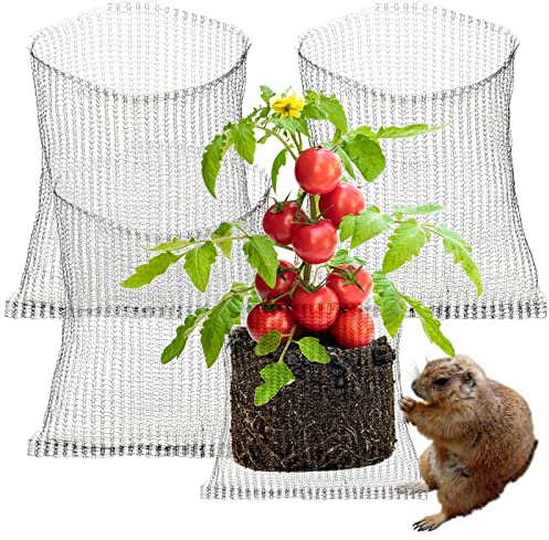 6er-Pack Wurzelschutzkörbe aus Edelstahl, Maulwurf- und Wühlmaus-Maschendrahtkörbe für Pflanzen, Beeren, Gemüse, Wurzelschutz, Edelstahl-Drahtgitterschutzkörbe für Pflanzen(50x45cm/20x18in)