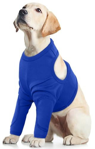 Codera para Perros Patas Delanteras, Rodilleras para Perro Manga de Recuperación Suave Protector de Codo Heridas de Rodilla para Perros Pequeños Medianos y Grandes(Azul, L)