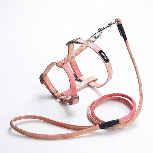 Katzengeschirr mit Leine Set, Katzenleine Ausbruchsicher, Verstellbare Geschirre Katzenleine, Katzenweste Sicher und Bequem für Katzen Kätzchen Welpen (Orange)
