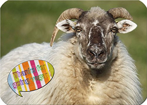 +++ Schafe Schaf - Schneidebrett Dekoglas GLAS Dekoteller Brett - GO VEGAN 13