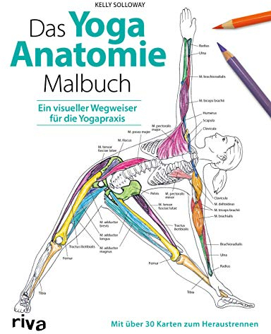 Das Yoga-Anatomie-Malbuch: Ein visueller Wegweiser für die Yogapraxis. Mit über 30 Karten zum Heraustrennen