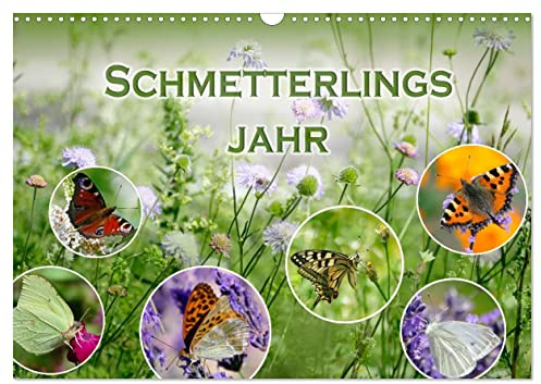 Schmetterlingsjahr (Wandkalender 2026 DIN A3 quer), CALVENDO Monatskalender: Heimische Schmetterlinge digital eingefangen. (CALVENDO Tiere)