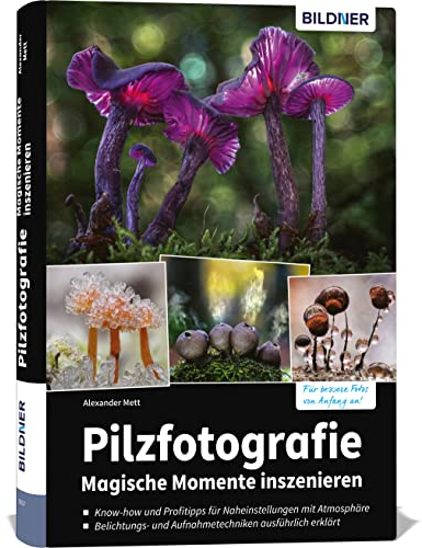 Pilzfotografie - Magische Momente inszenieren