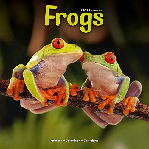 Frogs - Frösche 2024 - 16-Monatskalender: Original Avonside-Kalender [Mehrsprachig] [Kalender] (Wall-Kalender)