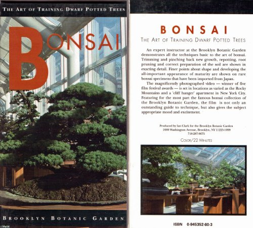 Bonsai Dwarf Potted Tree Video