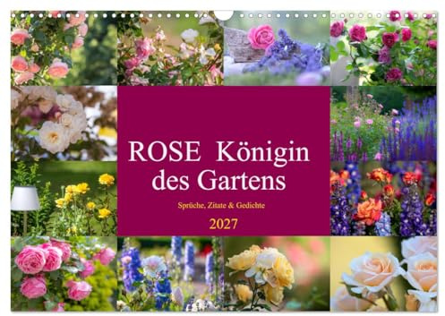 CALVENDO - Rose Königin des Gartens (Wandkalender 2027 DIN A3 quer), Monatskalender: Rosen in all ihrer Vielfalt sind in allen Gärten dieser Welt zu finden, die Faszination Rose ist Jahrhunderte alt