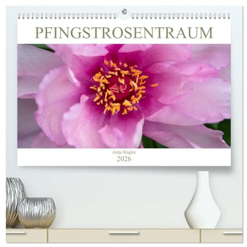Pfingstrosentraum (hochwertiger Premium Wandkalender 2026 DIN A2 quer), Kunstdruck in Hochglanz: Beeindruckende Blüten, die unterschiedlicher nicht sein können. (CALVENDO Natur)