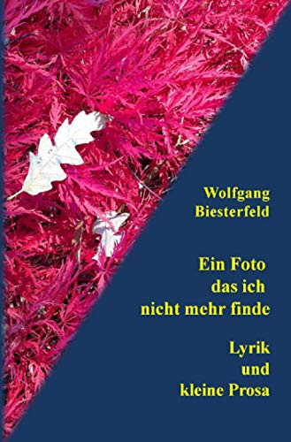 Ein Foto das ich nicht mehr finde: Lyrik und kleine Prosa