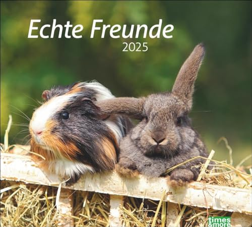 Echte Freunde Bildkalender 2025: Süße Tierfreundschaften in einem Kalender. Hochwertiger Fotokalender für Tierfreunde. times&more Wandkalender im Querformat. (times&more Kalender Heye)