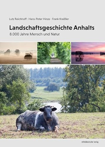Landschaftsgeschichte Anhalts: 8.000 Jahre Mensch und Natur (Veröffentlichungen des Stadtarchivs Dessau-Roßlau)