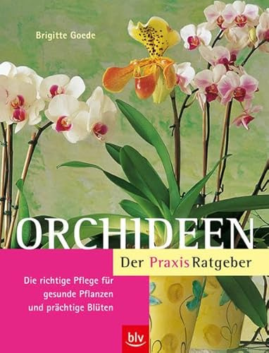 Orchideen. Der Praxis-Ratgeber: Die richtige Pflege für gesunde Pflanzen und prächtige Blüten
