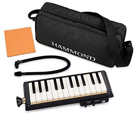 Suzuki PRO-24B Bass Melodica, Schwarz, Metall, 1/4 Jack, Poliert, 0.9 kg, 18.5 x 39.4 x 13.6 cm, mit Nylon Soft Case und Schultergurt