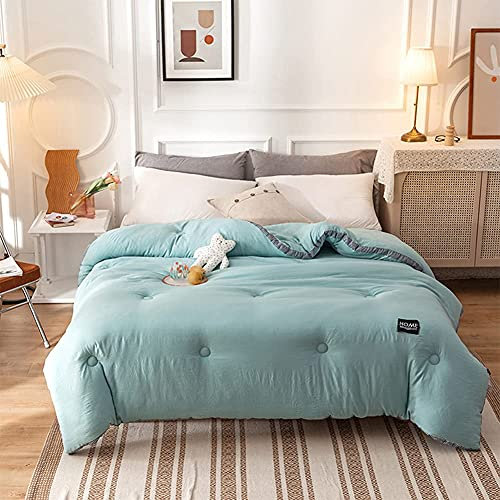 TAOZUYING Copripiumino matrimoniale king size per tutte le stagioni, piumino classico anallergico e caldo senza fodera per letto matrimoniale
