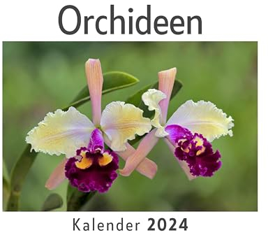 Orchideen (Wandkalender 2024, Kalender DIN A4 quer, Monatskalender im Querformat mit Kalendarium, Das perfekte Geschenk)