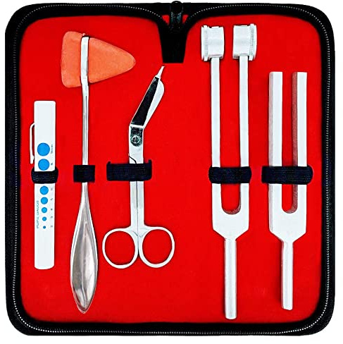 DEXSUR Diagnose-Set – Percussion Taylor Reflexhammer + Stimmgabel C 128 & C 512 + Verbandschere + Pupillenlehre Stift Lampe in Tragetasche – 6-teiliges Set – Silber