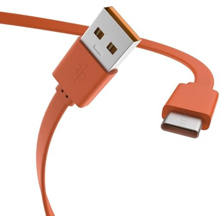 Flip 6 Schnellladekabel, USB C Ladekabel kompatibel mit JBL Charge 4, Charge5, Charge 6, JBL Flip 5, Flip 6, Flip 7, JBL Pulse 4 Clip4, JRPOP, Endurance Peak II, JBLCHARGE4BLKAM Kopfhörer Lautsprecher