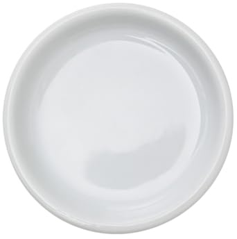 esowemsn 2 sottovasi rotondi in ceramica da 5,6 cm, per piante grasse, gioielli, salse di condimenti