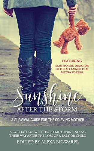 Sunshine After the Storm: A Survival Guide for the Grieving Mother