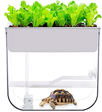 Aquarium Schildkröten/Aquarien Schildkröte-Tanks mit Terrassen, speziellen Tanks zum Anheben von Schildkröten, Fischtanks zum Anheben von Schildkröten, Live-Schildkröten, Wasser- und Landtanks Terrari