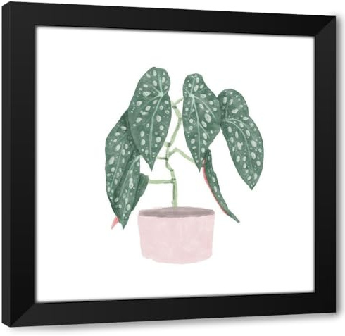 ArtDirect Polka Dot Begonia III Custom Framed Art Print Giclee Print or Canvas Options with Various Sizes and Customization by Bannarot