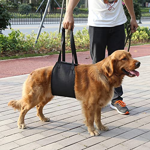 yosoo Hilfsgürtel für Hunde, Gürtel AUX für die Haustiere Geschirr Klassische Traversenlift für die ältere Tiere oder Krank-Hund mit und Aussteigen Treppen, und Aussteigen Fahrzeuge