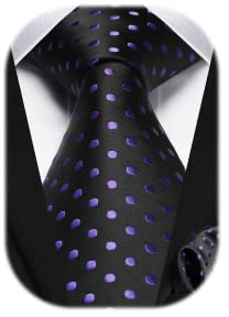 HISDERN Herren Formell Krawatten Taschentuch Klassische Elegant Gepunktete Krawatte & Einstecktuch Set Datierung Party Lila/Schwarz