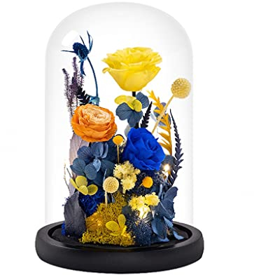 Rose Handmade Preserved Flower Real Rose In Glass Dome With LED Lights Rose Gifts For Her, Valentine's Day, Mother's Day, Birthday, Christmas, Anniversary (Color : Purple) (Yellow)
