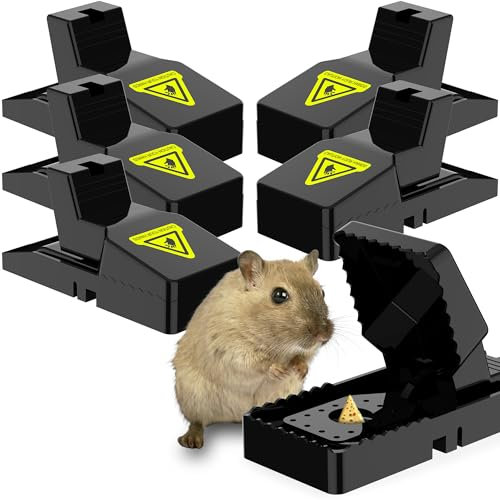 ZENO Mouse Traps 6 Pack | Mouse Trap For Indoors & Outdoors | Mice Trap That Kills Instantly | Easy To Use Mice Traps | Quick & Effective Rodent Trap | Mouse Control