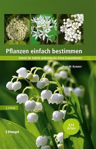Pflanzen einfach bestimmen: Schritt für Schritt einheimische Arten kennenlernen