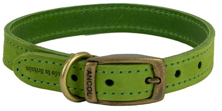 Ancol Hundehalsband aus grünem Leder für Hunde und Welpen, hochwertiges genarbtes Zaumzeug, Haustier-Trainingshalsband, handgefertigt in Großbritannien, langlebiges und geschmeidiges Design, Größe 26