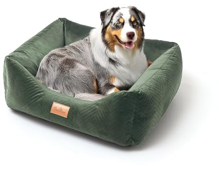 BOUTIQUE ZOO Exclusive Hundebett | Hundeliege, Hundekörbchen mit Kissen | Hundesofa für kleine Hunde | Große: S - 63 x 55 x 19 cm | Farbe: Velvet Grün