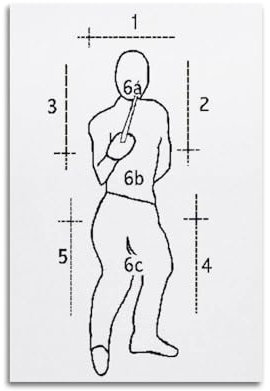 qiyan Simple Line-Poster, Fechten, Sport, Punkte, Einführungsposter, dekoratives Gemälde, Leinwand, Wandposter und Kunstdruck, moderne Familienschlafzimmer-Dekoration, Poster, 60 x 90 cm