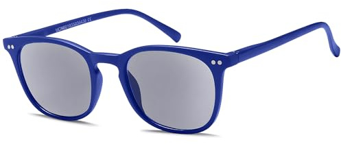 NEW VISION Lesebrille mit Sonnenschutz Getönt Lesehilfe Sehhilfe Sonnenbrille Sonnenlesebrille mit sehstärke Damen Herren NV1126-SG (BLAU, 2, Diottria)