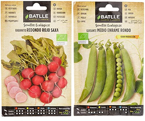 Rabanito Red rojo SAXA - ECO & Guisante Rondo (medio enrame) - ECO