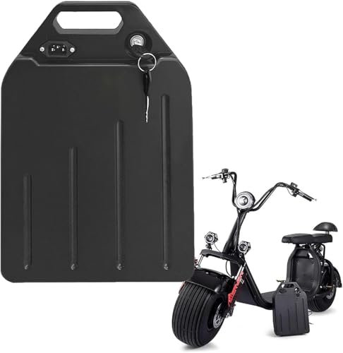 60V 20Ah pour Citycoco Gros Pneu Scooter électrique Batterie Lithium-ION li ION Deux Roues Scooter électrique vélo avec BMS et Chargeur pour Moteur 1500W 1000W
