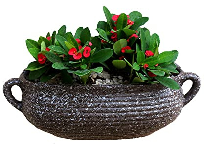 CLoxks Blumenampel Wandpflanzer Keramik Hängende Pflanzgefäße Wanddekor Container Indoor Outdoor-Pflanze Blumenkorb for sukkulente Pflanzen Faux Pflanzen Hängepflanztöpfe