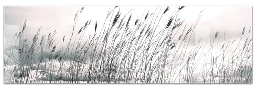 timalo Küchenbild aus Acrylglas modernes Wandbild Glasbild Deko Küche XXL Acryl-Bild wie Glas | 160x50cm See Schilf Pampasgras, Natur, Sonnenuntergang