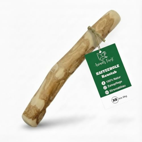 Kaffeeholz Kaustab für Hunde – 100 % natürlich & nachhaltig | Fördert Zahngesundheit & reduziert Zahnstein | Splitterarmes, langlebiges Kauspielzeug für kleine, mittlere & große Hunde (XS)