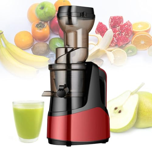 pealiritansemen Extracteur De Jus Lent 150 W, Extracteur De Jus De Fruits À Pression À Froid, Machine À Presser Les Jus À Vis Unique 50 TR/Min, Sépare Automatiquement Le Jus Et Les Résidus